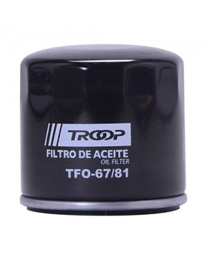 Filtro Aceite Byd F0 W67/81